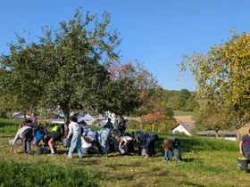 Auf die Plätze, fertig, los!