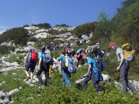 Aufstieg zur Simonyhütte