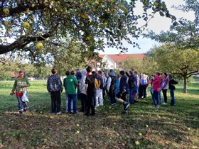 Apfelsortenverkostung