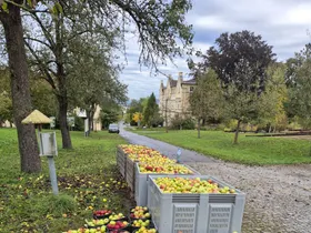 Ein Teil der vollen Erntekisten