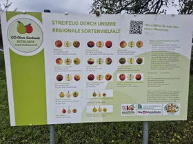 Infoschild Streuobstwiese