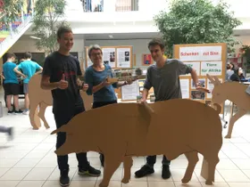 8A spendet Schwein