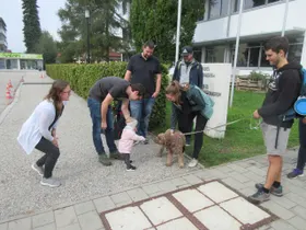 Begrüßen vor der Schule