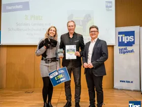 Auszeichnung (Tips)