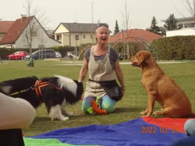 Die beiden Hunde Tiamo und Moon mit ihrer Trainerin