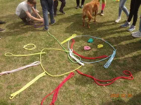 Der Hund der Klasse 2D
