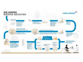 Hodenkrebsvorsorgedurchführung