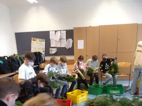 3D beim Binden