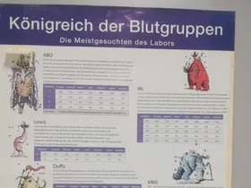 Das Königreich der Blutgruppen