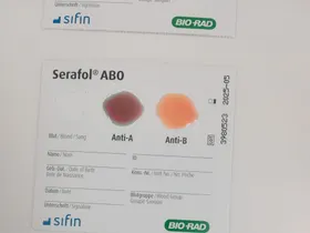 Blutgruppenschnelltests
