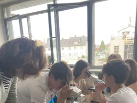Bodenproben unter dem Mikroskop