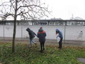 Müll Hintereingang