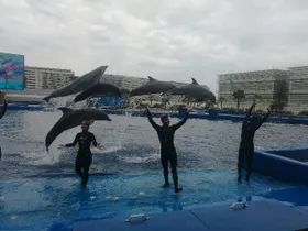 Oceanográfico