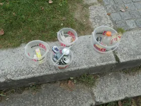 Sammelergebnis
