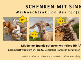 Schenken mit Sinn