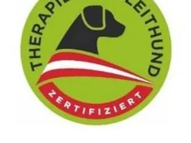 Zertifikat