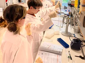 IMG 7408 scaled