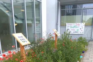 So einfach kann Artenvielfalt sein