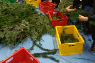 Adventkranzbinden - eine Tradition wird fortgesetzt
