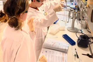 WPG Biologie im Genetik-Labor