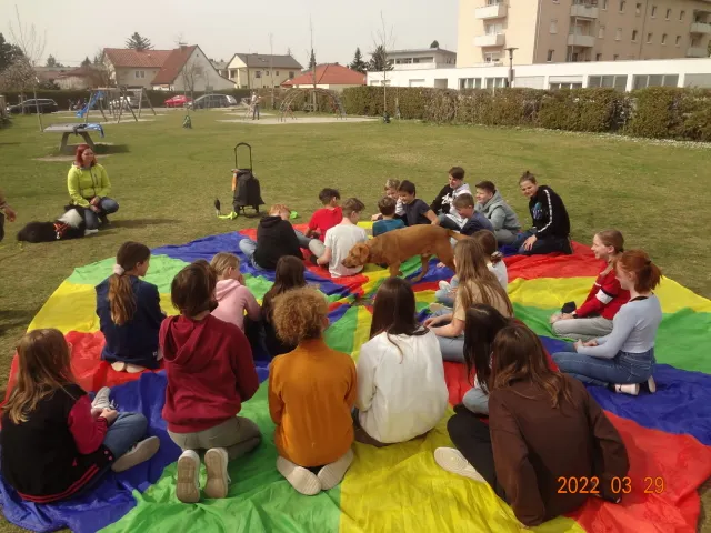Zwei Therapiehunde besuchen die Klasse 2D