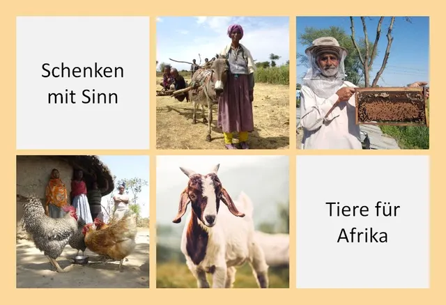 Schenken mit Sinn. Tiere für Afrika