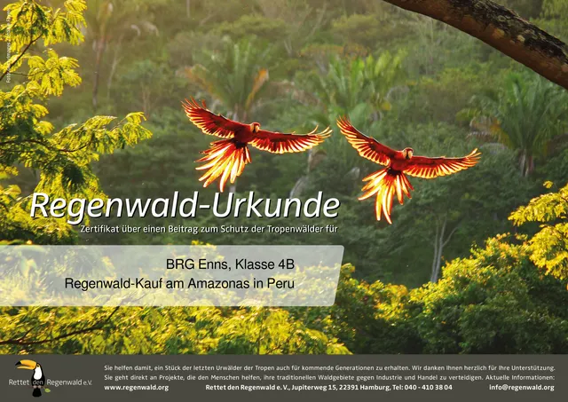 Regenwaldprojekt